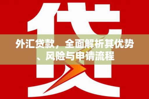 山阴外汇贷款，全面解析其优势、风险与申请流程