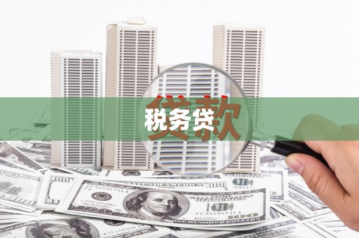 山阴税务贷