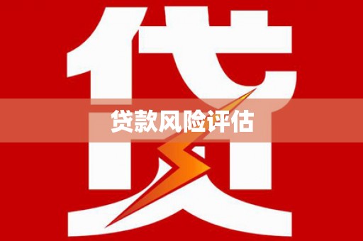 山阴贷款风险评估