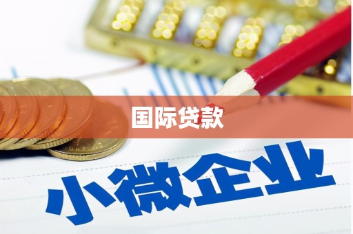山阴国际贷款