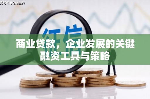 山阴商业贷款，企业发展的关键融资工具与策略