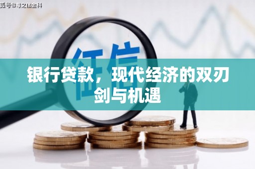 山阴银行贷款，现代经济的双刃剑与机遇