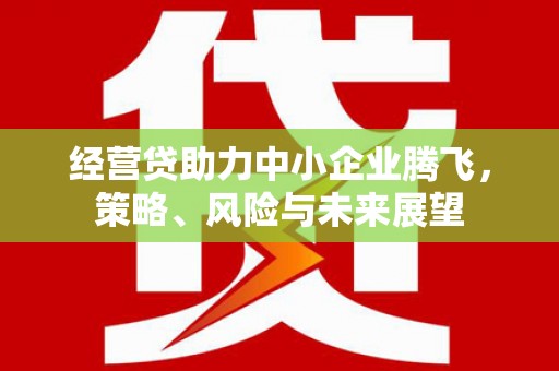 山阴经营贷助力中小企业腾飞，策略、风险与未来展望
