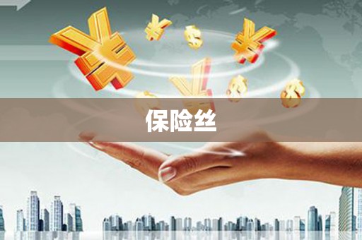 山阴保险丝