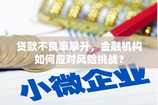 山阴贷款不良率攀升，金融机构如何应对风险挑战？