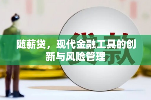 山阴随薪贷，现代金融工具的创新与风险管理