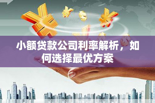 山阴小额贷款公司利率解析，如何选择最优方案