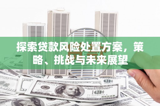 山阴探索贷款风险处置方案，策略、挑战与未来展望