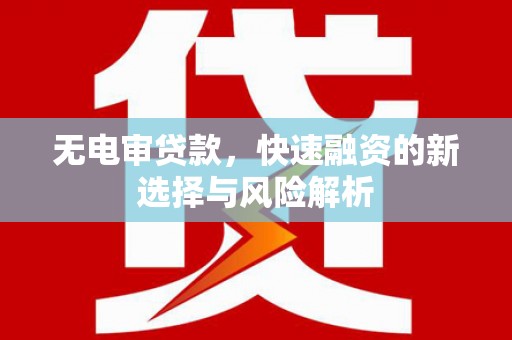 山阴无电审贷款，快速融资的新选择与风险解析