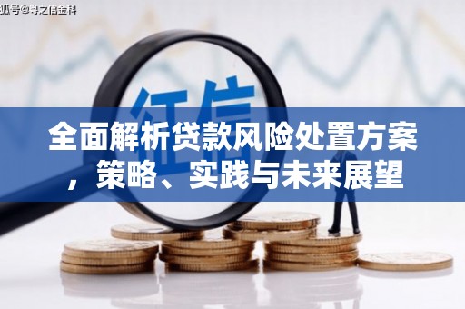 山阴全面解析贷款风险处置方案，策略、实践与未来展望