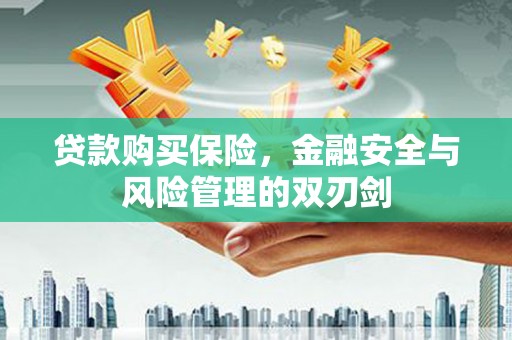 山阴贷款购买保险，金融安全与风险管理的双刃剑