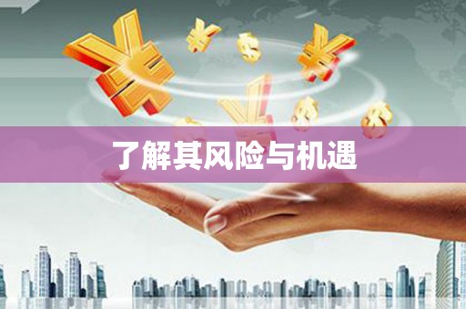 山阴了解其风险与机遇