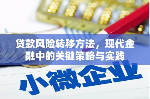 山阴贷款风险转移方法，现代金融中的关键策略与实践