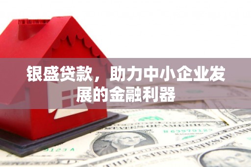 山阴银盛贷款，助力中小企业发展的金融利器