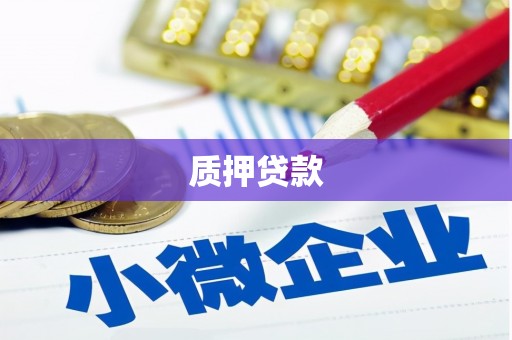 山阴质押贷款