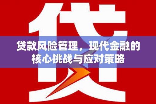 山阴贷款风险管理，现代金融的核心挑战与应对策略