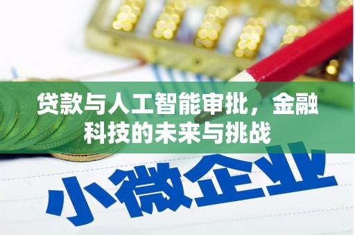山阴贷款与人工智能审批，金融科技的未来与挑战