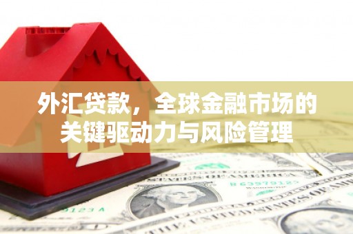 山阴外汇贷款，全球金融市场的关键驱动力与风险管理
