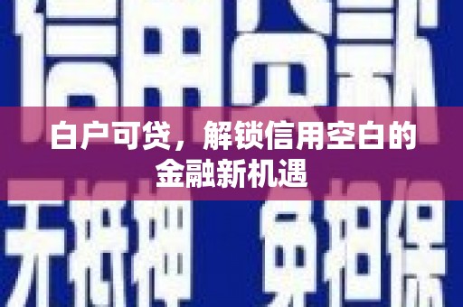 山阴白户可贷，解锁信用空白的金融新机遇