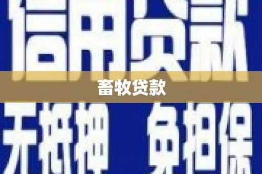 山阴畜牧贷款