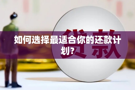 山阴如何选择最适合你的还款计划？