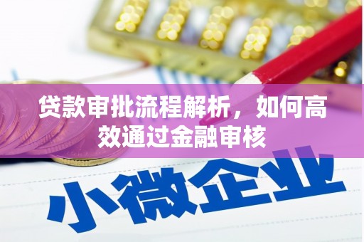 山阴贷款审批流程解析，如何高效通过金融审核