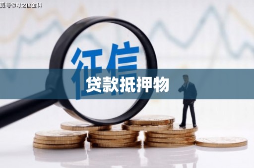 山阴贷款抵押物