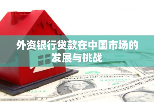 山阴外资银行贷款在中国市场的发展与挑战