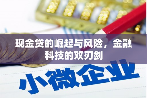 山阴现金贷的崛起与风险，金融科技的双刃剑