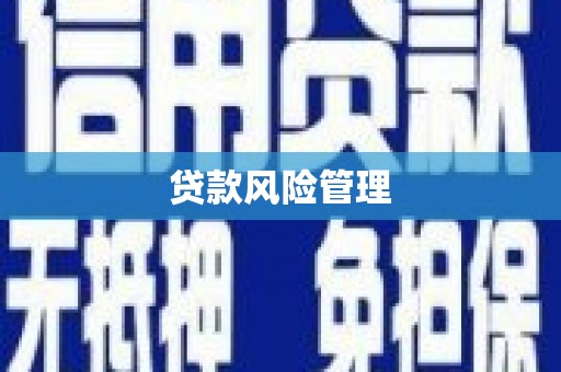 山阴贷款风险管理