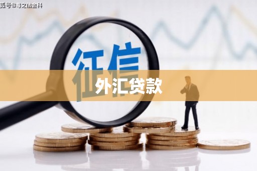 山阴外汇贷款