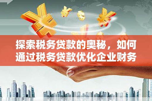 山阴探索税务贷款的奥秘，如何通过税务贷款优化企业财务