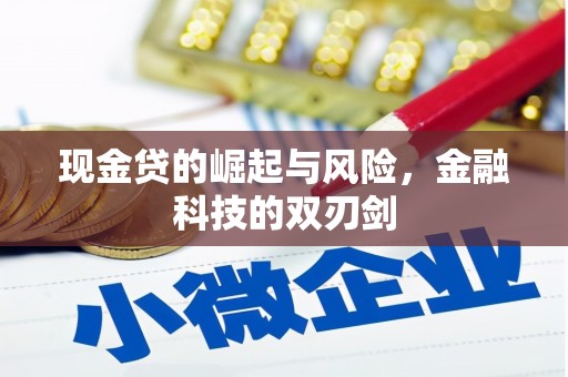 山阴现金贷的崛起与风险，金融科技的双刃剑
