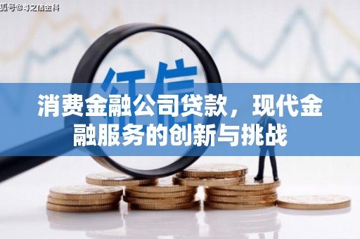 山阴消费金融公司贷款，现代金融服务的创新与挑战