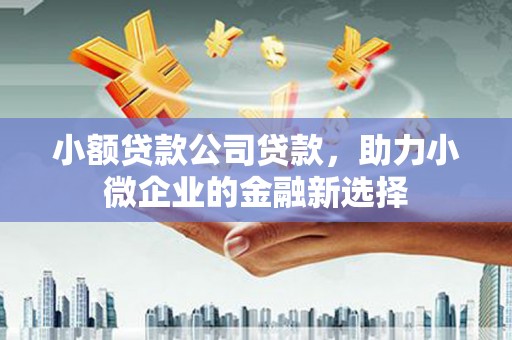 山阴小额贷款公司贷款，助力小微企业的金融新选择