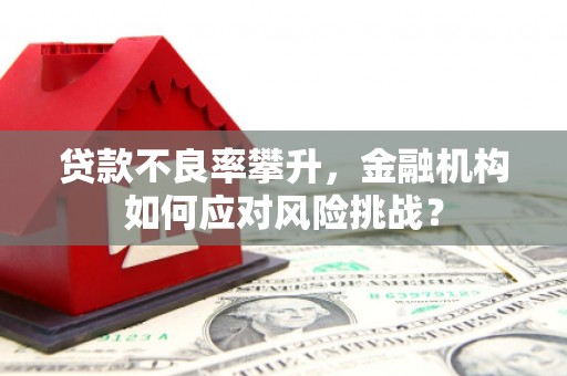 山阴贷款不良率攀升，金融机构如何应对风险挑战？