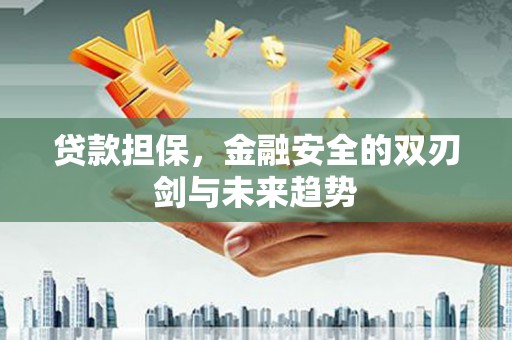 山阴贷款担保，金融安全的双刃剑与未来趋势