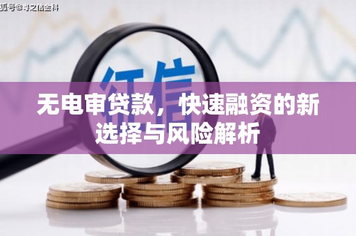 山阴无电审贷款，快速融资的新选择与风险解析