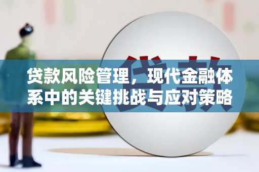 山阴贷款风险管理，现代金融体系中的关键挑战与应对策略