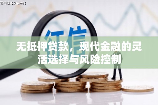 山阴无抵押贷款，现代金融的灵活选择与风险控制