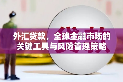 山阴外汇贷款，全球金融市场的关键工具与风险管理策略
