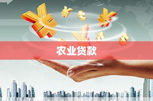 山阴农业贷款