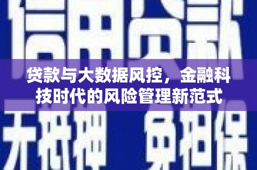 山阴贷款与大数据风控，金融科技时代的风险管理新范式