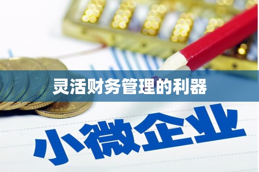 山阴灵活财务管理的利器