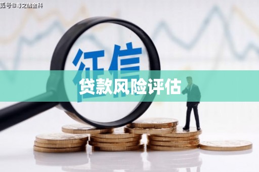 山阴贷款风险评估