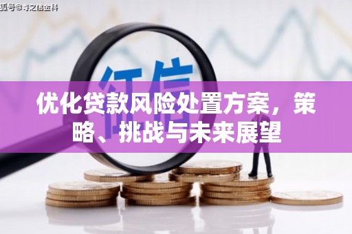 山阴优化贷款风险处置方案，策略、挑战与未来展望