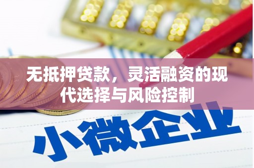 山阴无抵押贷款，灵活融资的现代选择与风险控制