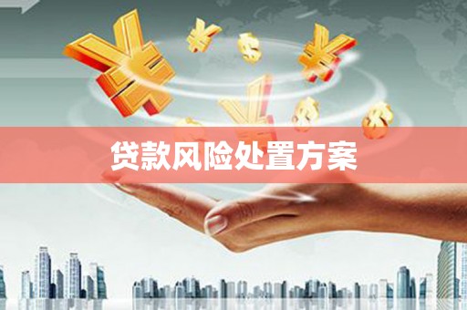 山阴贷款风险处置方案