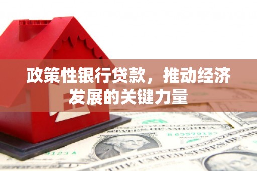 山阴政策性银行贷款，推动经济发展的关键力量