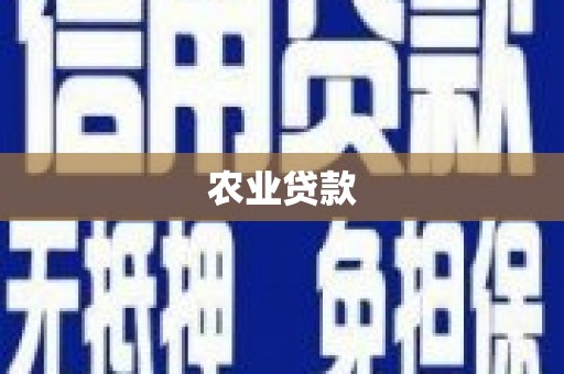 山阴农业贷款